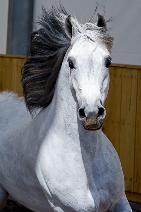 2011-04-26_Jonesborough_Booker_0282
