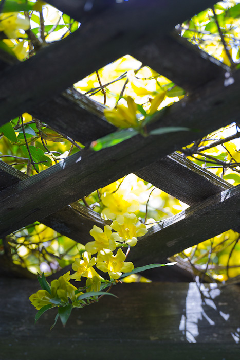 2011-04-26_Jonesborough_Booker_0004