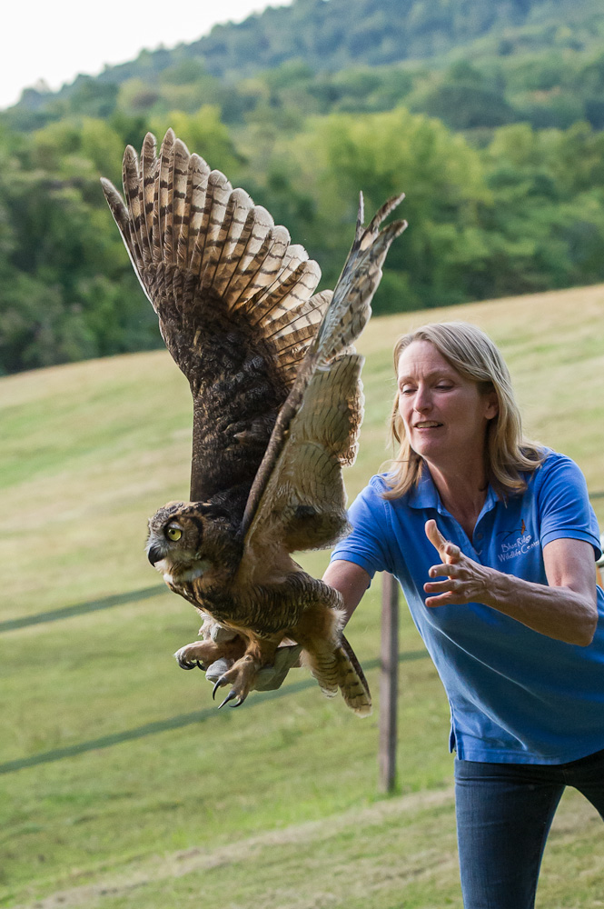 2012-09-15_OwlRelease_Booker_0272