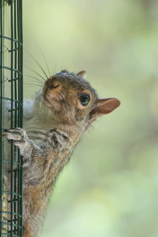 2013-05-08_Haefner_Booker_0045