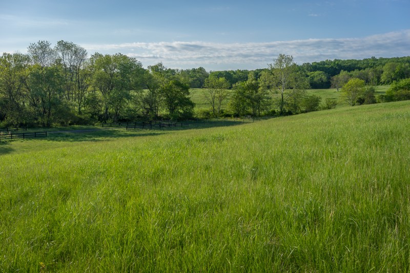 2014-05-19_Spring_Booker_0052