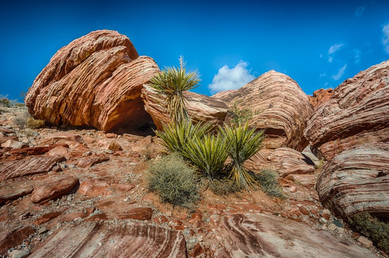 2014-12-06_USHJAAM_Booker_0123_HDR