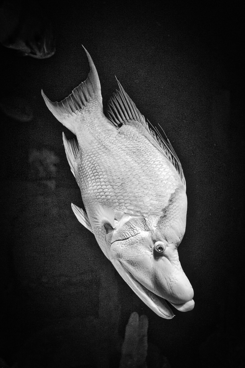 2014-03-10_Baltimore_Booker_0137-Edit