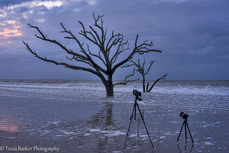 2014-04-19_SCSony_Booker_0088-Edit