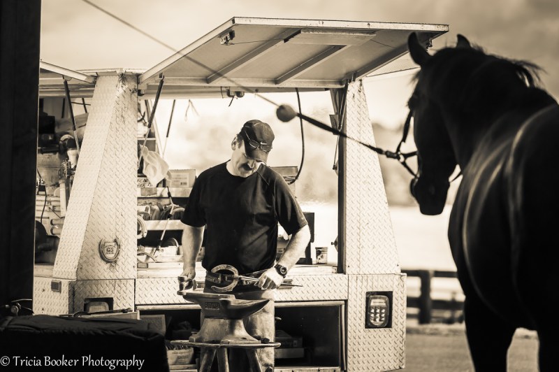 2014-09-03_Skyland_Booker_0394