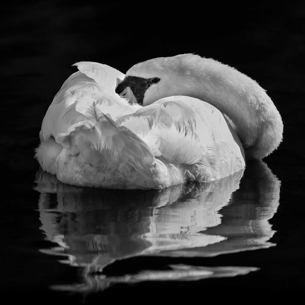 2014-11-08_CurtisPark_Booker_0170-Edit-Edit