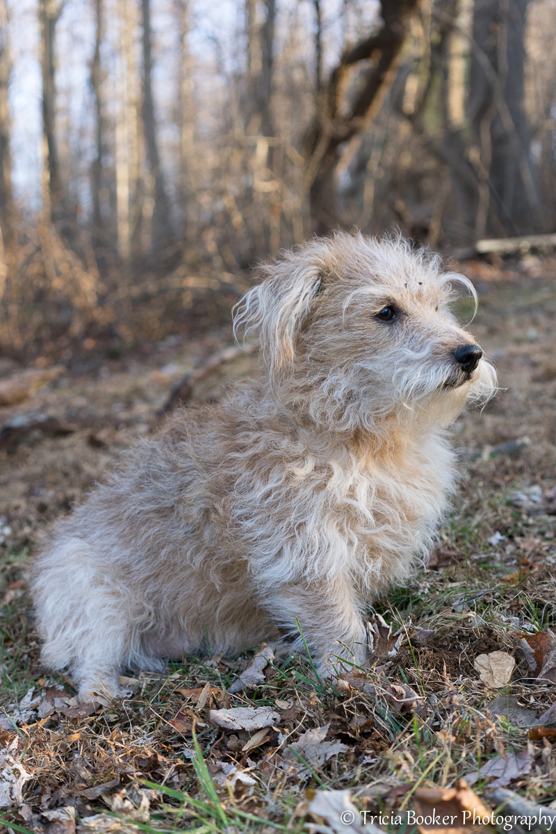 2014-12-22_Five_Booker_0009