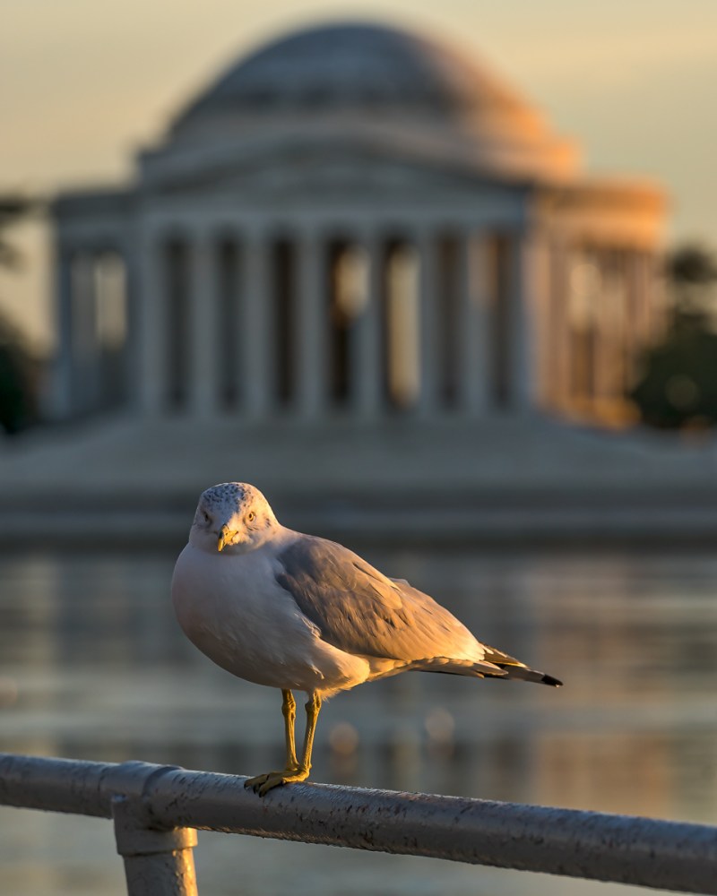 2015-01-14_WashingtonDC_Booker_0008-Edit