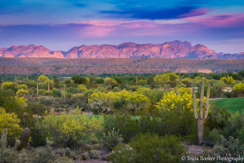 2015-04-17_Arizona_Booker_0255