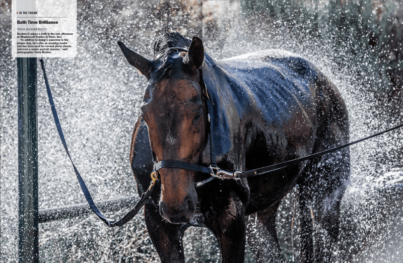 screen-shot-2016-12-23-at-9-25-18-am